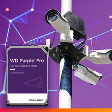 Load image into Gallery viewer, Western Digital 10TB WD Purple Pro Surveillance Internal Hard Drive HDD - SATA 6 Gb/s, 256 MB Cache, 3.5" - WD101PURP
