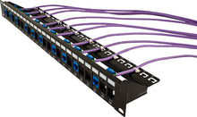 Load image into Gallery viewer, Vertical Cable 043-384/48/2U Blank Patch Panel, 48 Port, with Cable Manager Black