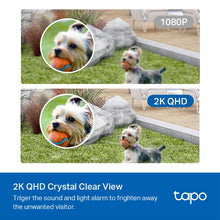 Load image into Gallery viewer, TP-Link Smart Wire-Free Security Camera, 1 Camera System Tapo  C420S1