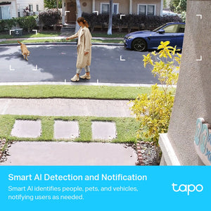 TP-Link Smart Wire-Free Security Camera Tapo C420
