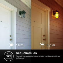 Load image into Gallery viewer, TP-Link Kasa Smart Wi-Fi Light Switch, 3-Pack HS200P3