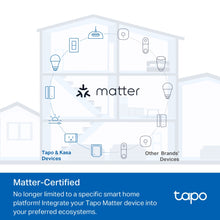 Load image into Gallery viewer, TP-Link Smart Wi-Fi Light Switch, Matter Tapo S505