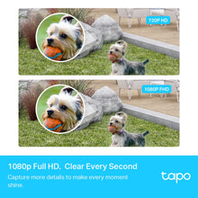 Load image into Gallery viewer, TP-Link Tapo Smart Wire-Free Security Camera System, 2 Camera System Tapo C400S2