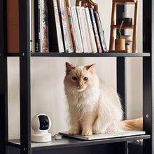 Load image into Gallery viewer, TP-Link Kasa Spot Pan Tilt, 24/7 Recording KC410S