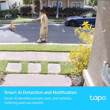 Load image into Gallery viewer, TP-Link Smart Wire-Free Security Camera Tapo C420
