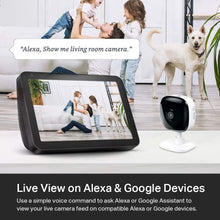 Load image into Gallery viewer, TP-Link Kasa Spot, 24/7 Recording EC60
